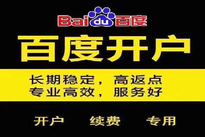 大型企业SEM外包实战案例
